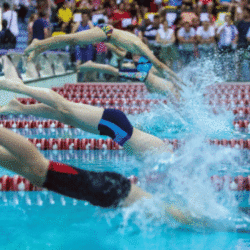 Perspective interesante pntru înotul bihorean