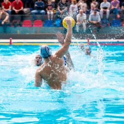 Cu gândul la viitorele participări în Cupele Europene