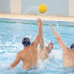 Progresul polo-ului orădean continuă