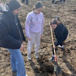 Elevii de la LPS Bihorul Oradea, inițiativă lăudabilă