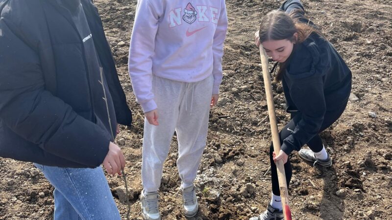 Elevii de la LPS Bihorul Oradea, inițiativă lăudabilă